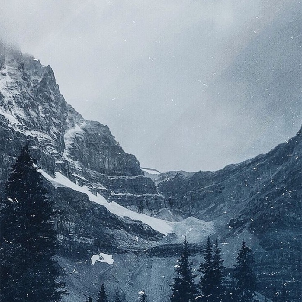 Meet your Posher, Zach